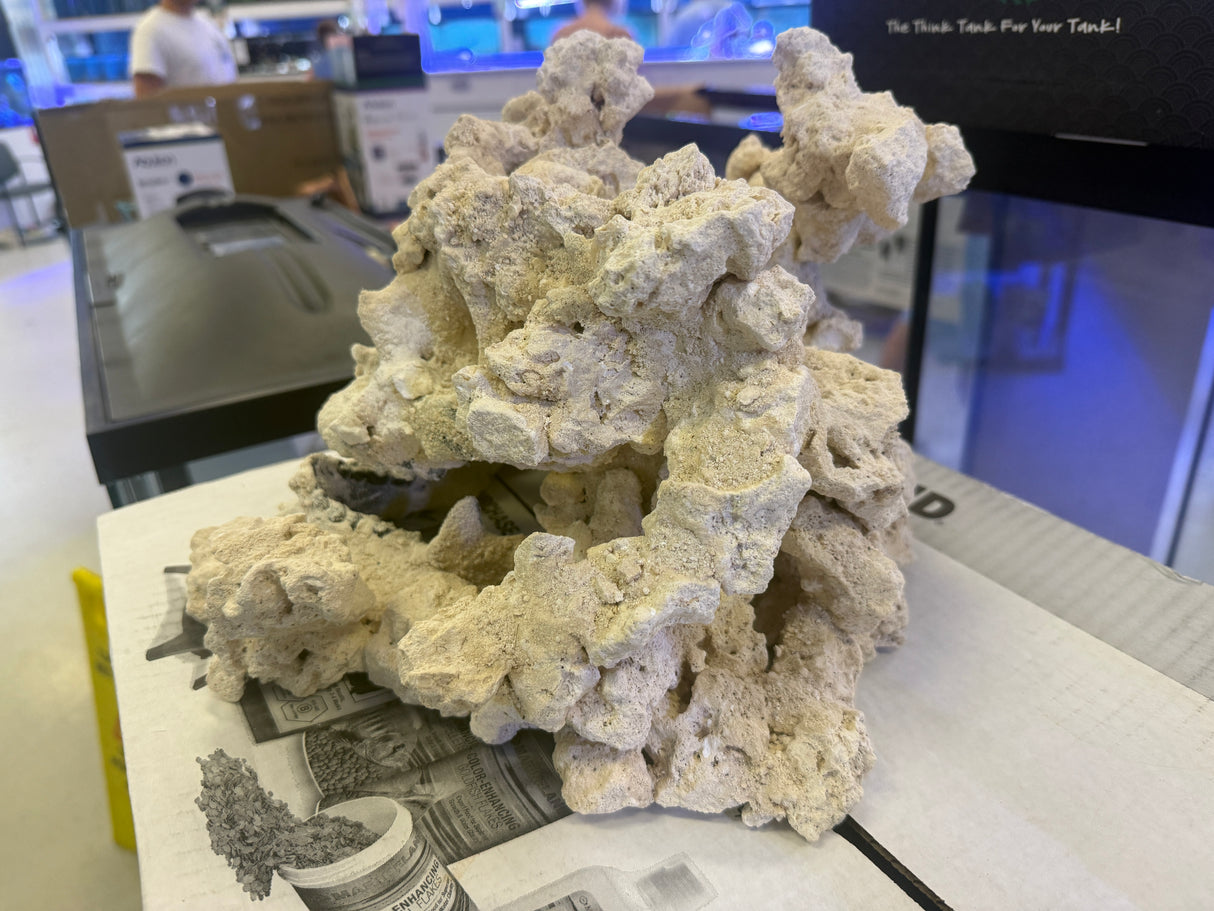 Skull rock 2