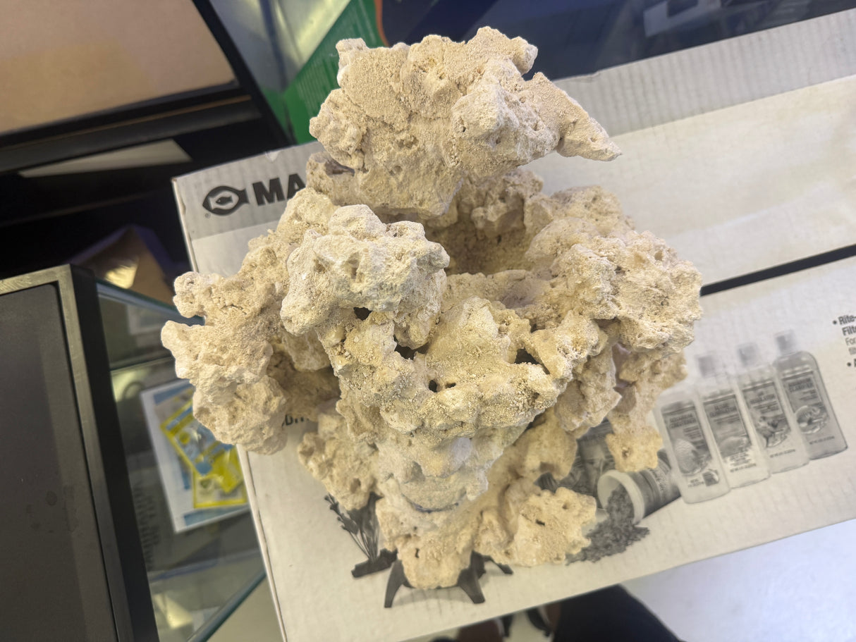 Skull rock 2