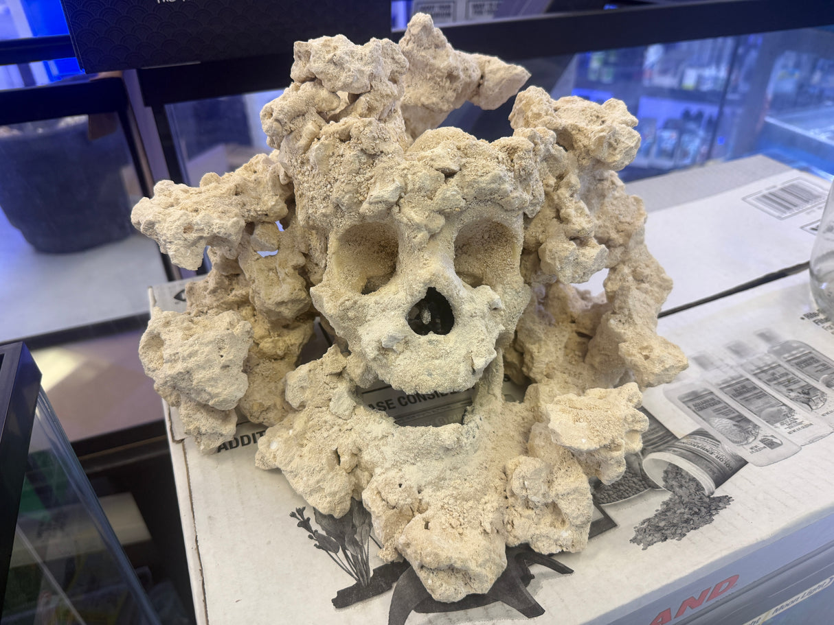 Skull rock 2