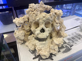 Skull rock 2