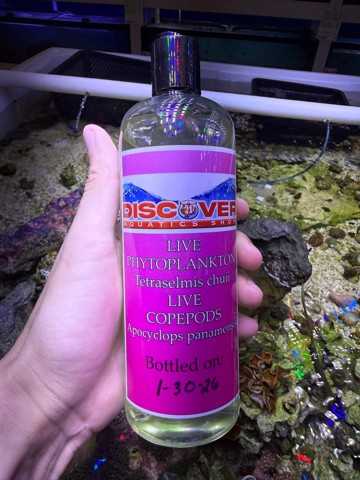 Apocyclops pods bottle