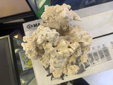 Skull rock 2