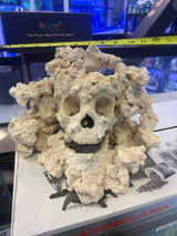 Skull rock 2