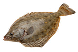 Flounder Fish
