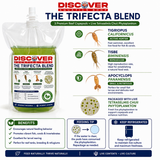 Live Copepods Trifecta 3-Species Blend + Phytoplankton