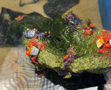 Vampire crabs